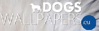 visit to dogs-wallpapers.eu